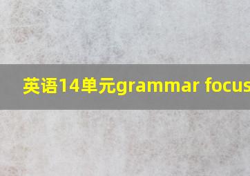 英语14单元grammar focus翻译